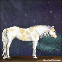 Horse Color:White Spotted Palomino Splash