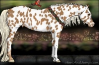 Horse Color:Chestnut Mushroom Near Leopard 