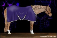 Horse Color:Red Roan 