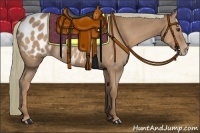 Horse Color:Chestnut Appaloosa
