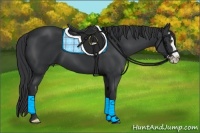 Horse Color:Black Splash Frame