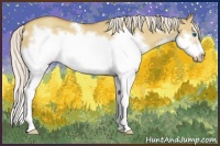 Horse Color:Silver Classic Champagne Dun Splash Frame 