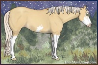 Horse Color:Silver Classic Champagne Dun Splash Frame 