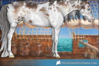 Horse Color:White Spotted Liver Red Onyx Sabino Splash 