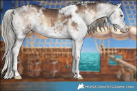 Horse Color:White Spotted Liver Red Onyx Mushroom Sabino Splash