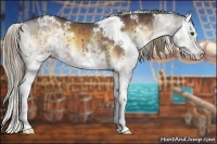 Horse Color:White Spotted Liver Red Onyx Sabino Splash 