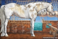 Horse Color:White Spotted Liver Red Dun Onyx Tobiano Rabicano 