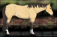 Horse Color:Buckskin Roan 
