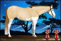 Horse Color:Bay Pearl Dun Splash 