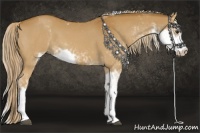 Horse Color:Chestnut Sabino 