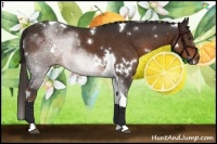 Horse Color:White Spotted Liver Chestnut Tobiano 