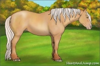Horse Color:Silver Amber Champagne 