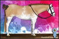 Horse Color:White Spotted Brown Pearl Splash
