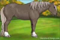 Horse Color:Silver Black 