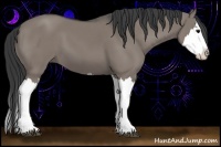 Horse Color:Grullo Sabino Splash 