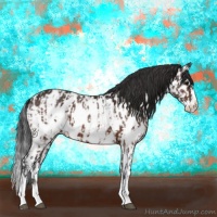Horse Color:Brown Sabino Splash Near Leopard  and Brown Sabino Splash Near Leopard 