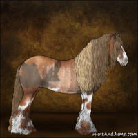 Horse Color:Gray Liver Red Dun Sabino Frame Rabicano and Gray Gold Champagne Sabino Rabicano