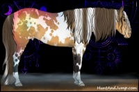 Horse Color:White Spotted Buckskin Varnish 