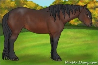 Horse Color:Brown 