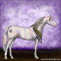 Horse Color:Nacre Silver Smoky Creme Ice Dun 