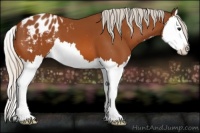 Horse Color:Silver Bay Splash Varnish 