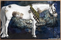 Horse Color:Blue Onyx Splash Tobiano 