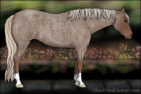 Horse Color:Silver Blue Roan 