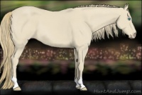 Horse Color:Smoky Creme