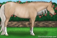 Horse Color:Silver Black Pearl Rabicano