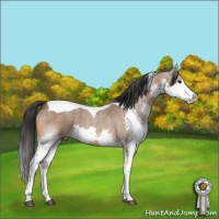 Horse Color:Bay Roan Splash Tobiano 