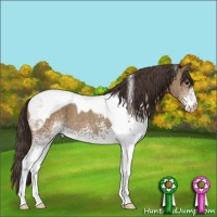 Horse Color:White Spotted Classic Champagne Tobiano