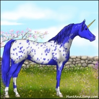 Horse Color:Watercolor Black Appaloosa 