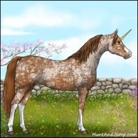 Horse Color:Chestnut Ice 