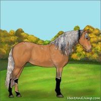 Horse Color:Silver Bay Tobiano 