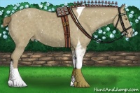 Horse Color:Classic Cream Champagne Tobiano Appaloosa 