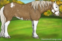 Horse Color:Chocolate Palomino Roan Splash Snowcap