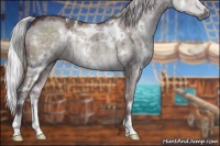 Horse Color:White Spotted Chocolate Silver Grullo Chinchilla