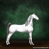 Horse Color:Liver Red Dun Fewspot Brindle 