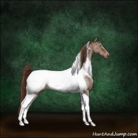 Horse Color:Liver Red Dun Tobiano Snowcap Rabicano Brindle 