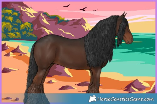 Horse Color:Liver Chestnut 