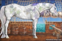 Horse Color:Nacre Watercolor White Spotted Silver Buckskin Ice Onyx Splash 