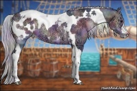 Horse Color:Nacre Watercolor Silver Bay Ice Onyx Tobiano Appaloosa Rabicano