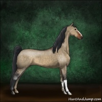 Horse Color:Brown Dun