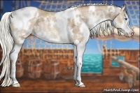Horse Color:White Spotted Liver Chestnut Ice Pearl Sabino Splash