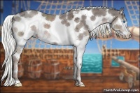 Horse Color:Liver Chestnut Ice Sabino Splash 