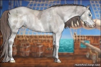 Horse Color:Grullo Ice Pearl Sabino Splash Brindle