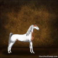 Horse Color:Bay Tobiano Frame Varnish