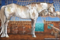Horse Color:White Spotted Liver Red Onyx Pearl Rabicano