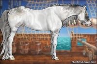 Horse Color:White Spotted Liver Red Onyx Sabino Splash Rabicano