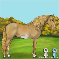 Horse Color:Chestnut Frame 